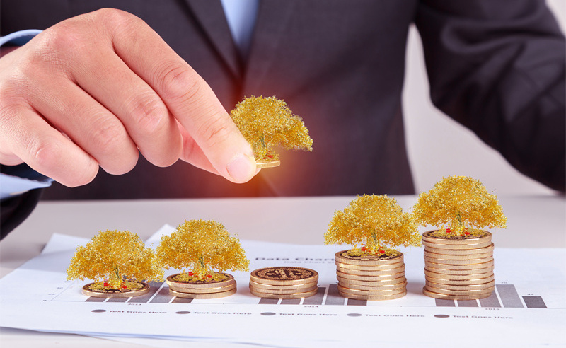 業績管理與績效評估、薪酬管理和職業發展之間的關系