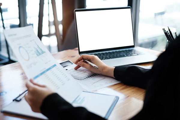 預(yù)算監(jiān)控與調(diào)整機(jī)制如何建立，確保預(yù)算執(zhí)行到位？