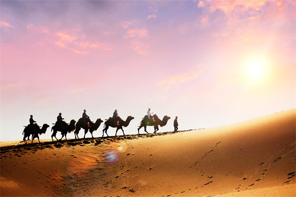 企業文化在人力資源管理中，扮演著怎樣的角色？