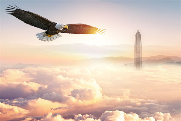 企業(yè)文化與企業(yè)管理如何協(xié)同，推動企業(yè)持續(xù)發(fā)展？