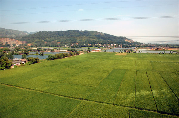 清遠營銷咨詢公司如何精準定位企業目標市場？