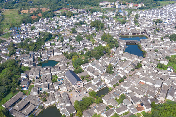 面對市場不確定性，金華咨詢如何規劃企業穩健前行？