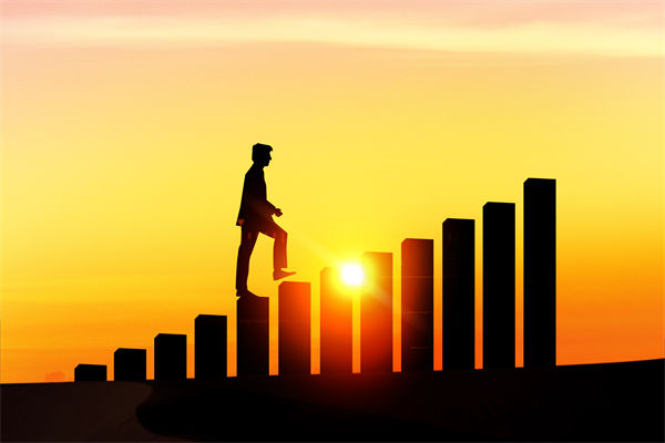 薪酬績效管理分析：5歲半小狗撿瓶5年攢下萬元存款