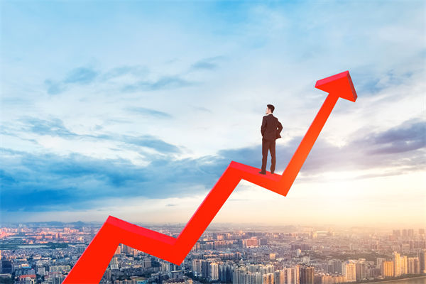 績效管理咨詢公司，能幫企業(yè)建立以結(jié)果為導向的體系嗎？