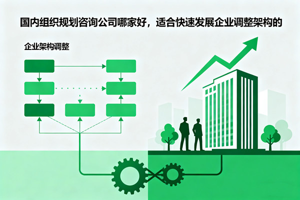國(guó)內(nèi)組織規(guī)劃咨詢公司哪家好，適合快速發(fā)展企業(yè)調(diào)整架構(gòu)的