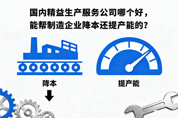 國內精益生產服務公司哪個好，能幫制造企業降本還提產能的？