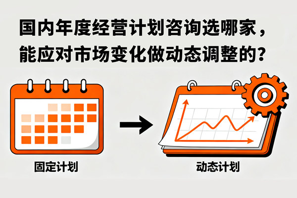 國內年度經營計劃咨詢選哪家，能應對市場變化做動態調整的？
